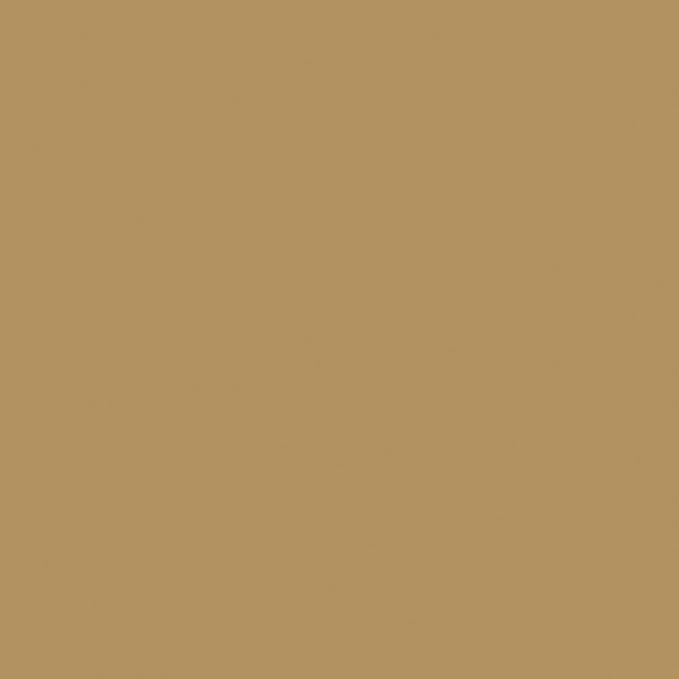 Rust-Oleum 7771730 Stops Rust Brush On Paint, Half Pint, Gloss Sand (Pack of 1)