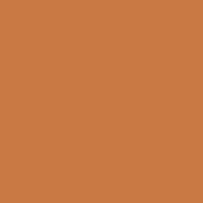 Krylon Fusion All-In-One Adhesive Spray Paint for Indoor/Outdoor Use, 12 oz, Spiced Amber