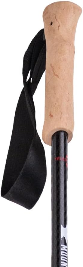 Mountainsmith Andesite Trekking Pole Pair - Carbon