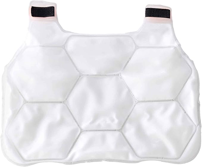 Cooling Ice Packs, Includes 2 Charge Packs, Compatible with Ergodyne Chill Its Cooling Vests, L/XL