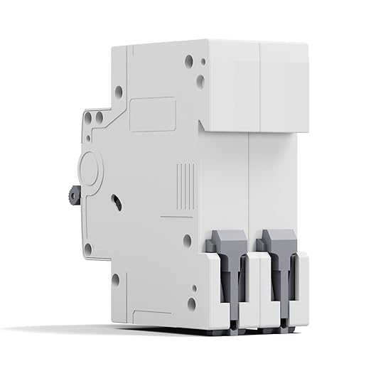 Miniature Circuit Breaker 400VDC/AC 63A 2 Pole Solar Circuit Breaker Shut Off Switch, PV Isolator Solar Panel for Homes Battery (63 Amp)