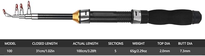 Fishing Rod, Universal Mini Small Sea Pole Portable Short Pole Ice Fishing Rod Mini Pocket Sea Fishing Tools for Ice Fly Fishing Sea Saltwater Kit Gift for Festivals