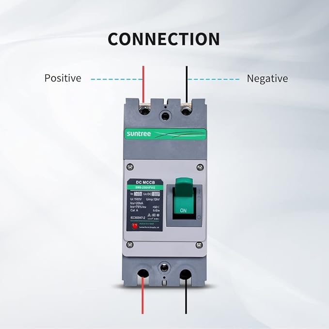 Renogy Suntree 160 Amp 2-Pole DC Circuit Breaker for Off-Grid Solar System, Molded Case