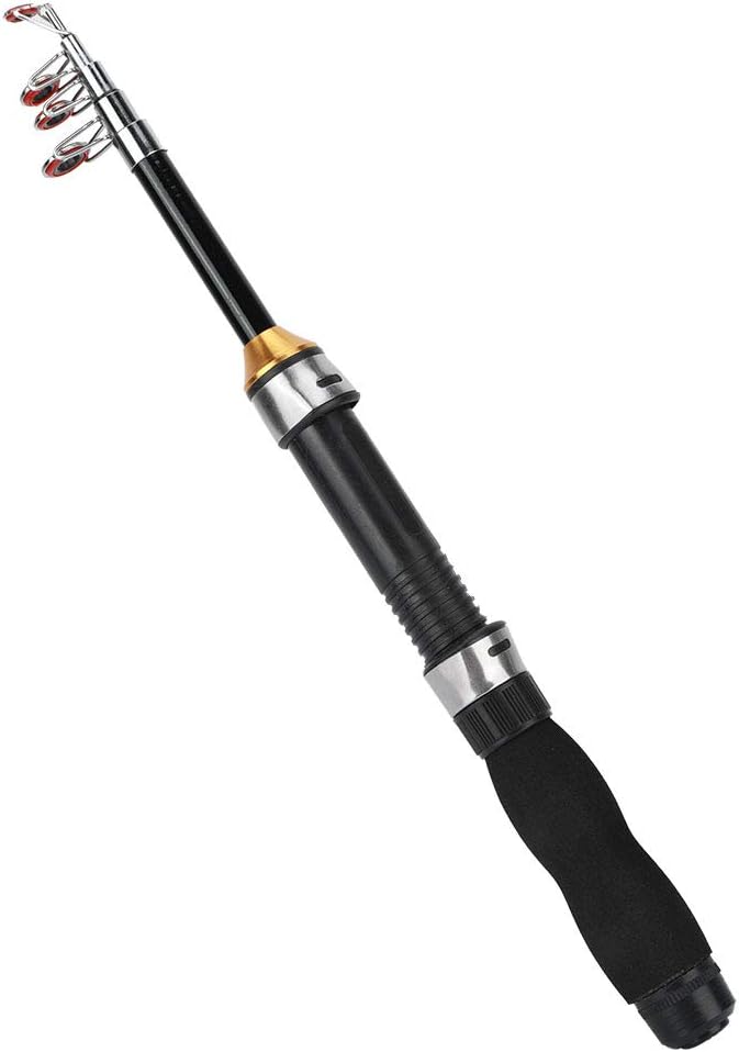 Fishing Rod, Universal Mini Small Sea Pole Portable Short Pole Ice Fishing Rod Mini Pocket Sea Fishing Tools for Ice Fly Fishing Sea Saltwater Kit Gift for Festivals