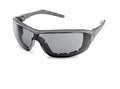 Gateway Safety 22GY78 Silverton Temple Version Safety Glass, Gray Frame - Gray FX2 Anti-Fog Lens
