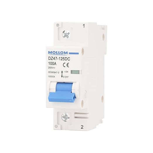 MOLLOM DC 1 Pole Miniature Circuit Breaker, 250V 100Amps, C100 Scene Visualization Custom MCB Thermal Magnetic Trip, 6KA Breaking Capacity DC Disconnect Switch for Solar PV System