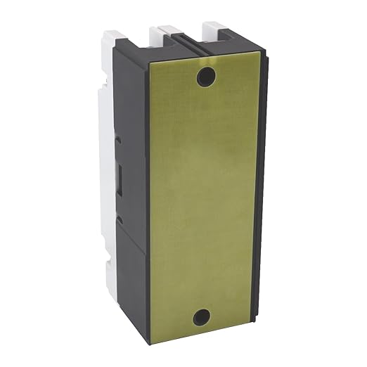Baomain 100A DC Circuit Breaker 2 Pole 550V, Moulded Case Battery Disconnect Switch for Off-Grid Solar System, Marine Boat Trolling Motor, RV ATV Trailer BMM1PV-125 (100 Amp)