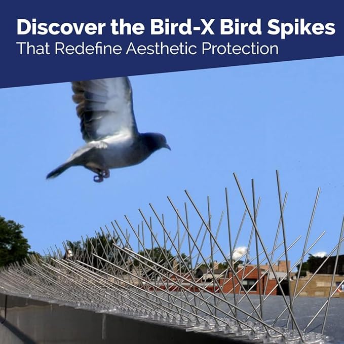Bird-X Bird Spikes, Stainless Steel Spikes to Keep Birds Away, Easy to Install, Covers 10 Linear Feet Area, 1' L x 6" W, 10 Strips