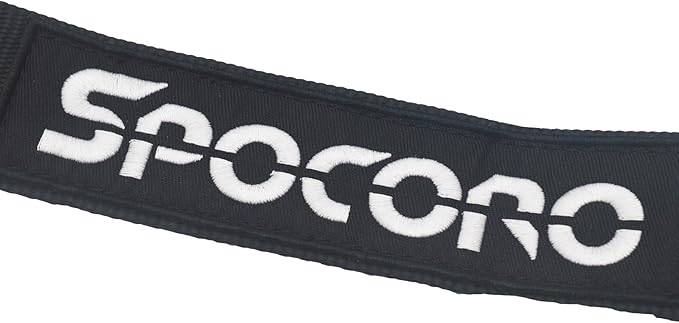 4 Point Racing Harness 2" Nylon Straps, Cam Lock Style (Pack of 1)