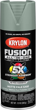 Krylon Fusion All-In-One Adhesive Spray Paint for Indoor/Outdoor Use, 12 oz, Pale Sage