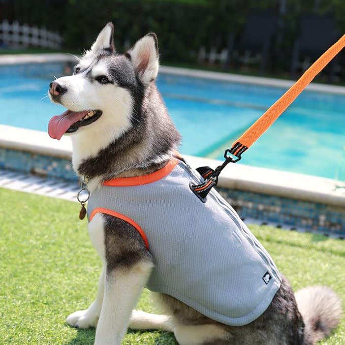Truelove Dog Cooling Vest Harness Cooler Jacket with Adjustable Zipper for Outdoor Hunting Training and Camping