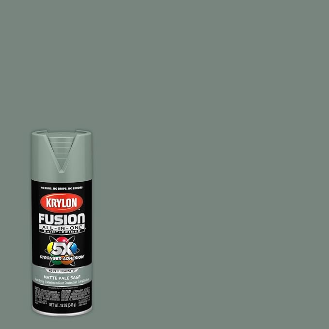 Krylon Fusion All-In-One Adhesive Spray Paint for Indoor/Outdoor Use, 12 oz, Pale Sage