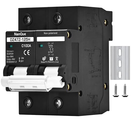 DC Circuit Breaker 36V to 250V Large Current Max 150A Black Color DIN Rail Mounting 2 Poles Thermomagnetic Short Circuit Overload Protector Solar Panel Battery Switchs (100A)