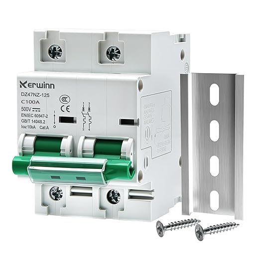 Miniature Circuit Breaker 500V DC Circuit Breaker 2Pole 125Amp din Rail Breaker DIN Rail Mount for Marine Power Systems,Solar photovoltaic Systems(C100A)