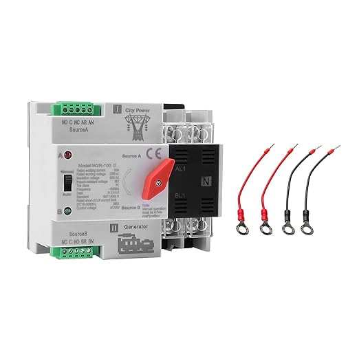 100Amp AC220V Automatic/Manual Transfer Switch 2P 50/60Hz, 2POLE 100A Mini ATS Auto Dual Power Switch W2R for Home Generator, Din Rail Mount Cn Automatic Changeover Fast Transfe for Solar,Rv,Lv Power