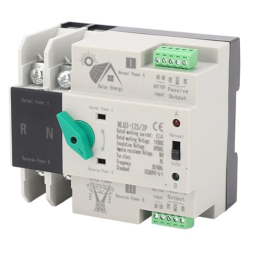 Power Automatic Transfer Switch 2P 110V 63A Mini ATS Generator Changeover Switch for Din Rail Emergency Backup Power System