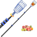DOBEN Carbon Fiber Telescopic Fruit Picker, 12FT Extendable Pole with Picking Basket for Harvesting Apples, Oranges, Pears, Avocados on High Trees - Lightweight & Durable