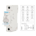 MOLLOM DC 1 Pole Miniature Circuit Breaker, 250V 40Amp, C40 Scene Visualization Custom MCB Thermal Magnetic Trip, 6KA Breaking Capacity DC Disconnect Switch for Solar PV System