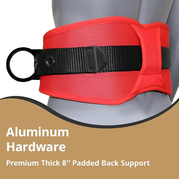 AFP Heavy-Duty 2 D-Ring Waist Body Belt w/Tongue Buckle Premium Stitching (OSHA/ANSI PPE)