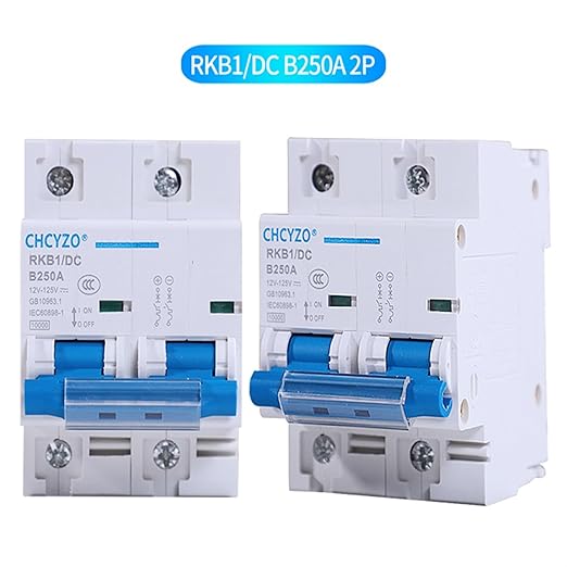 1P 2P DC Breaker 12V 24V 36V 48V 96V 120V DC Circuit Breaker 100A 200A 250A Solar Battery Protector Car Charging Pile Isolator (Color : 1P, Size : 200A)