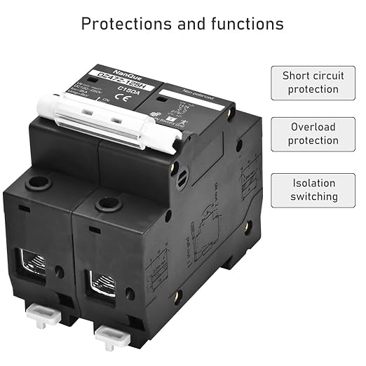 DC Circuit Breaker 36V to 250V Large Current Max 150A Black Color DIN Rail Mounting 2 Poles Thermomagnetic Short Circuit Overload Protector Solar Panel Battery Switchs (100A)