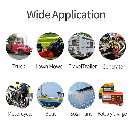 10AWG 3.3FT SAE Connectors, Battery Alligator Crocodile to SAE, SAE Quick Release Adapter to Alligator Clips Quick Disconnect Cable,with 5 Fuse,for Solar Panel Cars Motorcycles Battery Charger
