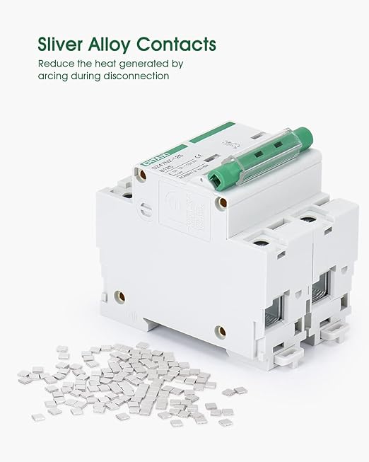 12V-110V DC Miniature Circuit Breaker, 100 Amp 2 Pole Battery Breaker Protector for Solar PV System and RV, Thermal Magnetic Trip, DIN Rail Mount, High Current DC Disconnect Switch MCB 2P B100