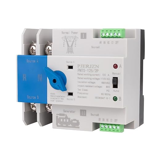 Automatic Transfer Switch for Generator 110V, 2Pole 63A 80A 100A 125A ATS Dual Power Switch with Manual Control, DIN Rail Mount, for Home RV Emergency Backup (2P 110V, 100A)