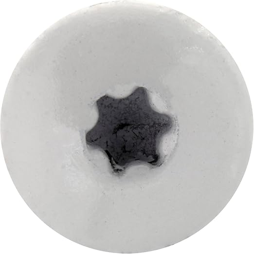 10 x 1 Brite White - Low Profile Star Head Roofing Screws - HI-LO Thread - Metal to Wood - T25 Torx Drive Head - EPDM Washer. 10 X 250 Bags - 2,500 Screws