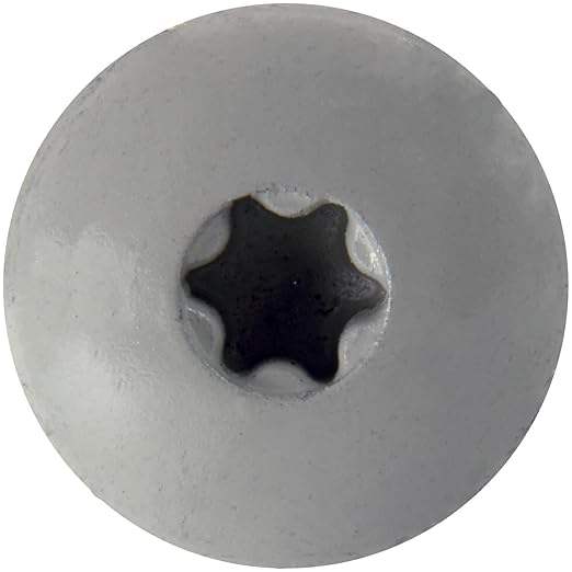 10 x 1 ABC Gray - Low Profile Star Head Roofing Screws - HI-LO Thread - Metal to Wood - T25 Torx Drive Head - EPDM Washer. 1 x 250 Count Bag - 250 Screws