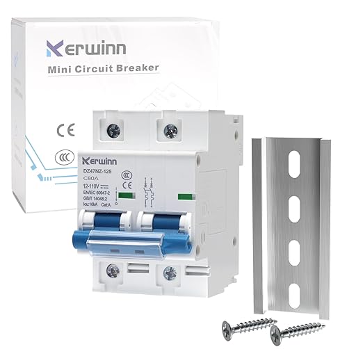 DC Miniature Circuit Breaker 12V-110V Circuit Breaker 2Pole 80Amp Smart Circuit Breaker DIN Rail Mount for Solar photovoltaic Systems
