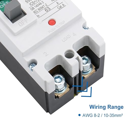 Baomain 63A DC Circuit Breaker 2 Pole 550V, Moulded Case Battery Disconnect Switch for Off-Grid Solar System, Marine Boat Trolling Motor, RV ATV Trailer BMM1PV-125 (63 Amp)