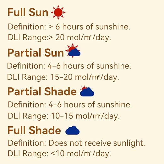 EVO-20 DLI Light Meter – Smart Sunlight Classifier for Garden & Landscape Use | Identifies Full Sun, Partial Sun, Partial Shade & Shade Based on Daily Light Integral