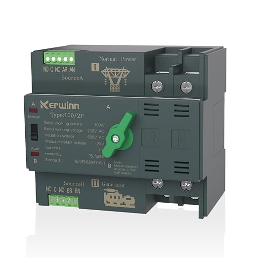 Mini ATS Automatic Transfer Switch 100 amp Manual Power Transfer Switch 220V Dual Power Electrical Selector Switches DIN Rail Mount （2P）