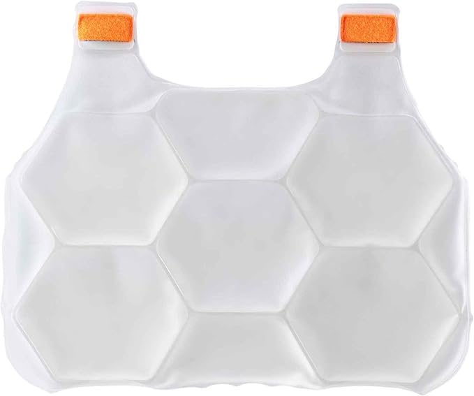 Cooling Ice Packs, Includes 2 Charge Packs, Compatible with Ergodyne Chill Its Cooling Vests, L/XL