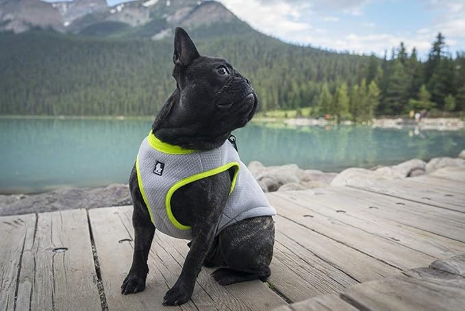 Truelove Dog Cooling Vest Harness Cooler Jacket with Adjustable Zipper for Outdoor Hunting Training and Camping