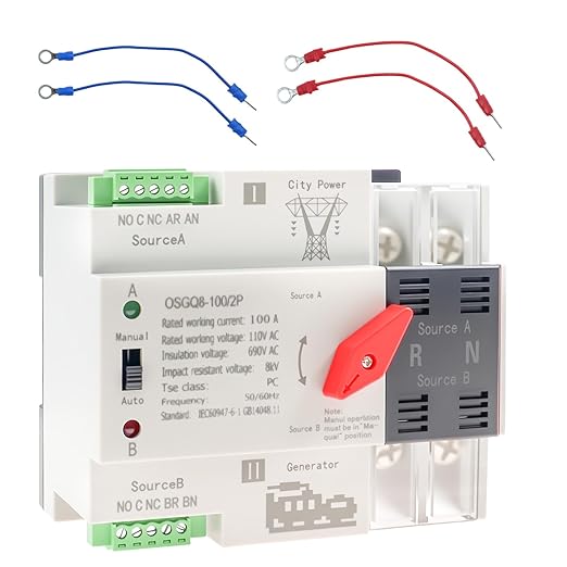 2P 100A Automatic Transfer Switch, AC110V Dual Power Generator ATS Changeover Switch, 50/60Hz DIN Rail Mount Mini ATS for PZ30 Distribution Box, Home, Farm, and Laboratory Backup Power