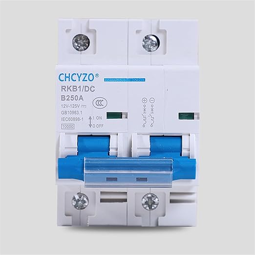 1P 2P DC Breaker 12V 24V 36V 48V 96V 120V DC Circuit Breaker 100A 200A 250A Solar Battery Protector Car Charging Pile Isolator (Color : 2P, Size : 100A)