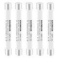Baomain 5-Pack gPV Solar PV Fuse 1A 1500V DC, 10x85mm, 50kA Breaking Capacity, CE Listed for Photovoltaic Systems, Combiner Boxes (1 Amp.)