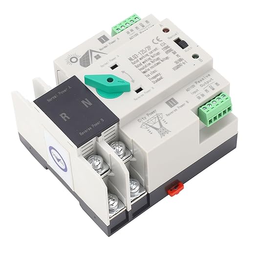 Power Automatic Transfer Switch 2P 110V 63A Mini ATS Generator Changeover Switch for Din Rail Emergency Backup Power System