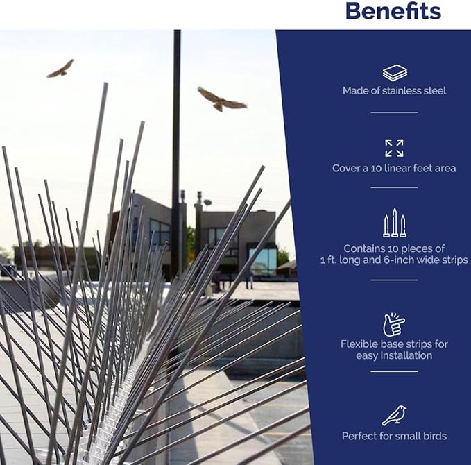 Bird-X Bird Spikes, Stainless Steel Spikes to Keep Birds Away, Easy to Install, Covers 10 Linear Feet Area, 1' L x 6" W, 10 Strips