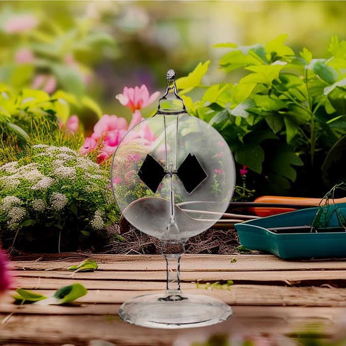 Solar Crookes Radiometer Glass Windmill Handmade for Party Home Decoration Gift Transparent S