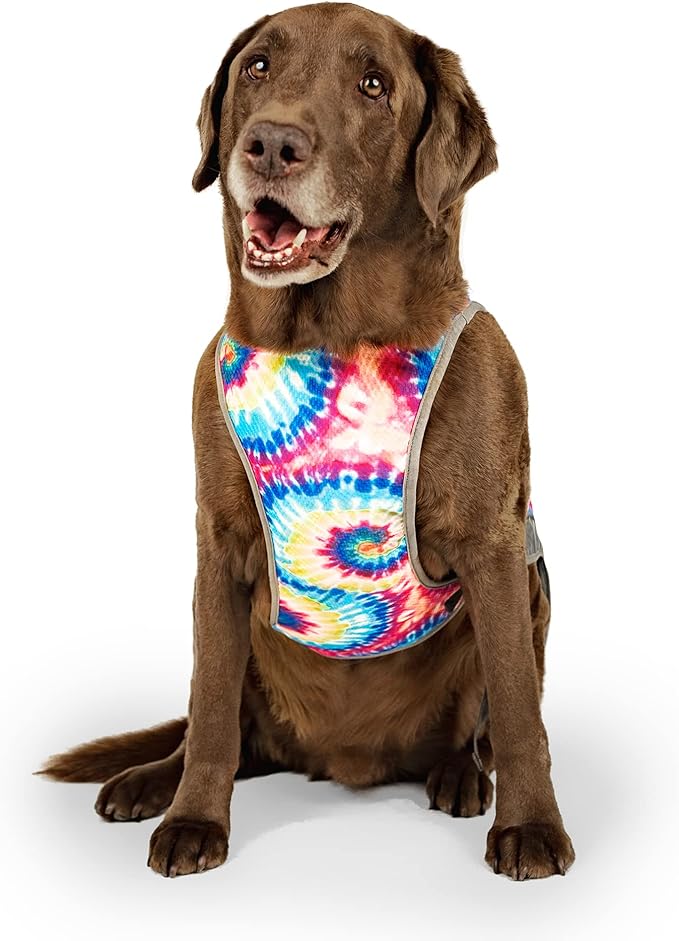 Canada Pooch Dog Cooling Vest - Evaporative Cooling Vest for Dogs with Breathable Mesh Material & Reflective Lining, Adjustable Dog Cooling Vest Great for Dogs 10 (9-11" Back Length), Tie Dye