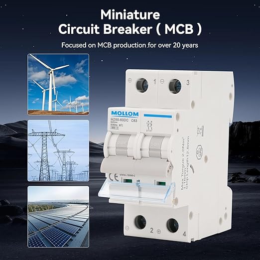 MOLLOM DC 2 Pole Miniature Circuit Breaker,400V 100A, C100 Scene Visualization Custom MCB Thermal Magnetic Trip, 6KA Breaking Capacity DC Disconnect Switch for Solar PV System