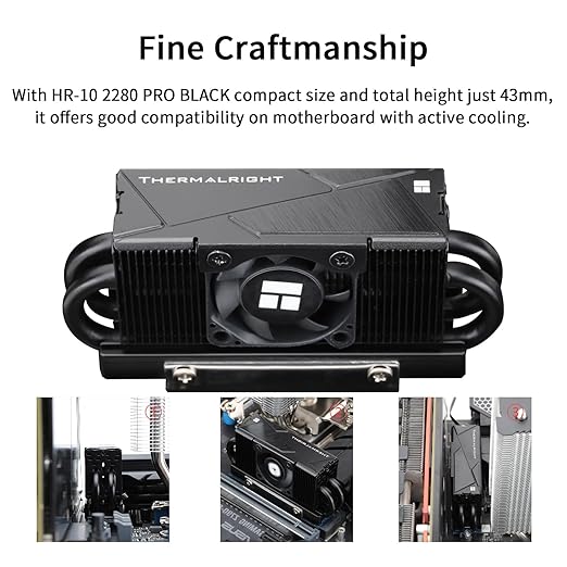 Thermalright HR10 2280 PRO Black SSD Heatsink Cooling,Double-Sided Heat Sink, with Small and High Speed PWM Fan,Thermal Silicone Pad for 2280 SSD PC and Computer,Desktop High Performance SSD Cooler
