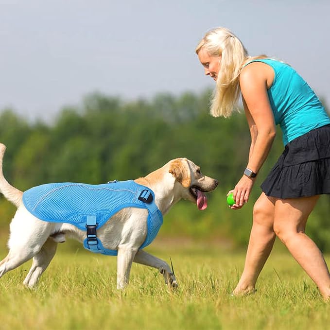 Kuoser Dog Cooling Vest Harness, Small Puppy Cooler Jacket with Adjustable Buckle for Outdoor Beach, Hiking, Training Blue S