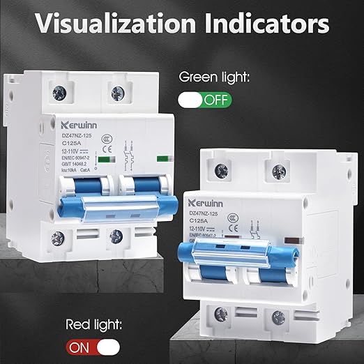 DC Miniature Circuit Breaker 12V-110V Circuit Breaker 2Pole 80Amp Smart Circuit Breaker DIN Rail Mount for Solar photovoltaic Systems