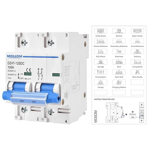 MOLLOM DC 2 Pole Miniature Circuit Breaker,400V 100A, C100 Scene Visualization Custom MCB Thermal Magnetic Trip, 6KA Breaking Capacity DC Disconnect Switch for Solar PV System