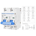 MOLLOM DC 2 Pole Miniature Circuit Breaker,400V 100A, C100 Scene Visualization Custom MCB Thermal Magnetic Trip, 6KA Breaking Capacity DC Disconnect Switch for Solar PV System