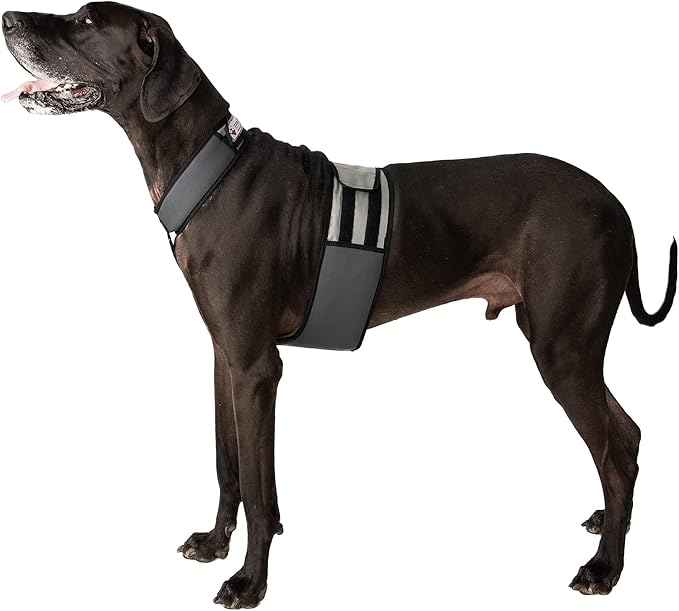 CoolerDog Dog Cooling Vest & Cooling Collar – Ice Vest for Hot Weather Heat Relief, Re-Freezable Pure Water Inserts (X-Large 34”–40” Girth)